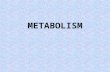 METABOLISM. Energy needed for all physical & metabolic activities food principle source of energy digested & absorbed supplies energy serves as building.