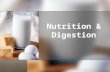 Nutrition & Digestion Vocabulary Absorption – to take into Absorption – to take into Calorie – measurement for the amount of energy in food Calorie –