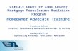 Circuit Court of Cook County Mortgage Foreclosure Mediation Program Homeowner Advocate Training Patricia Nelson Director, Foreclosure Mediation and Access.