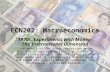 ECN202: Macroeconomics 1970s: Experiments with Money- The International Dimension “the memory of the Great Depression meant that the US was highly likely.