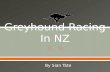 By Sian Tate.  Greyhound Racing New Zealand – GRNZ / NZGRA  Regional greyhound racing clubs  Greyhounds as Pets - GAP  Breeders, owners and trainers.