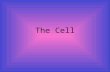 The Cell Plant and Animal Cells Every living thing on Earth is composed of cells. The term cell was first used by Robert Hooke to describe the chambers.
