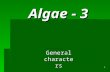 Algae - 3 1 General characters. INTRODUCTION TO ALGAL CHARACTERISTICS AND DIVERSITY PHYCOLOGY=STUDY OF ALGAE Phycology is the science (gr. logos) of algae.