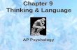 Chapter 9 Thinking & Language AP Psychology. THINKING AND LANGUAGE  Both Thinking and Language are Cognitive Activities.  Cognitive Activity refers.