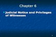1 Chapter 6 Judicial Notice and Privileges of Witnesses Judicial Notice and Privileges of Witnesses.