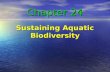 Chapter 24 Sustaining Aquatic Biodiversity Chapter Objectives: Define aquatic biodiversity Define aquatic biodiversity Determine its economic and ecological.