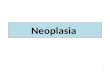 Neoplasia 1. - Overview : 1- nature of neoplasia 2- Study of neoplasia ( oncology) 3- Classification & diagnosis of tumours 4- Causes of neoplasia 5-