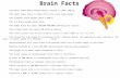 Brain Facts  The adult human brain weighs about 3 pounds (1,300-1,400 g).  The adult human brain is about 2% of the total body weight.  The elephant.