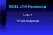 EE2E1. JAVA Programming Lecture 9 Network Programming.