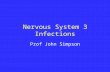 Nervous System 3 Infections Prof John Simpson. this lecture is now on the intranet issue of lumbar puncture in raised ICP review your microbiology!