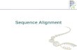 Sequence Alignment. 2 Sequence Comparison Much of bioinformatics involves sequences u DNA sequences u RNA sequences u Protein sequences We can think of.