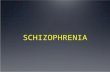 SCHIZOPHRENIA. Clinical characteristics of schizophrenia Issues surrounding classification and diagnosis of schizophrenia, including reliability and validity.