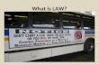 What is LAW?. Jurisprudence Study of law and legal philosophy (science or philosophy of law) Attempts to answer the question “What is the law?” –S–Should.