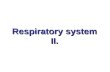 Respiratory system II.. Anatomical division upper respiratory tract –nasal cavity –paranasal cavities –nasopharynx lower respiratory tract –larynx –trachea.