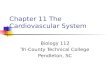 Chapter 11 The Cardiovascular System Biology 112 Tri-County Technical College Pendleton, SC.