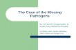 The Case of the Missing Pathogens By: Oh SNAP! (Organization of Super Nosy Awesome People) Nicolette Laird, Jacob Jashinsky, Jason Miller and Megan Chu.