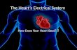 Your heart is a muscle that works continuously like a pump Each beat of your heart is set in motion by an electrical signal from within your heart muscle.