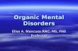 Organic Mental Disorders Elisa A. Mancuso RNC, MS, FNS Professor.