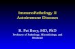 ImmunoPathology II Autoimmune Diseases R. Pat Bucy, MD, PhD Professor of Pathology, Microbiology, and Medicine.