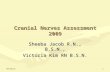 8/28/20151 Cranial Nerves Assessment 2009 Sheeba Jacob R.N., B.S.N., Victoria Kim RN B.S.N.