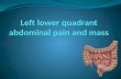 left lower quadrant mass causes 1-Skin Sebaceous cyst (malformation) Abscess (inflammation) Primary and metastatic carcinomas (neoplasm) Contusion(truma)