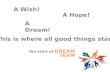 A Dream! A Wish! A Hope! This is where all good things start the start of DREAM TEAM.