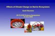 Effects of Climate Change on Marine Ecosystems David Mountain US CLIVAR Science Symposium 14 July 2008.