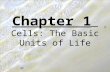 Chapter 1 Cells: The Basic Units of Life. 1.) Cells – smallest living thing 2.) Tissues – many cells working together 3.) Organ – many tissues working.