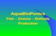AquaBioPonics Fish – Greens – Biofuels Production.