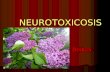 NEUROTOXICOSIS Bodnar R.Ya. Bodnar R.Ya.. PLAN NEUROTOXICOSIS Mercury poisoning Industrial uses. Industrial uses. Pathogenesis of Pathogenesis of Mercury.