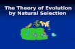 The Theory of Evolution by Natural Selection The Theory of Evolution by Natural Selection.