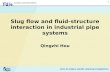 1 Slug flow and fluid-structure interaction in industrial pipe systems Qingzhi Hou.