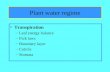 Plant water regime Transpiration –Leaf energy balance –Fick laws –Boundary layer –Cuticle –Stomata.