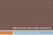 PRIVATE SECTOR ISSUES Chapter Five: Premise Security 1.