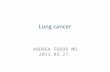 Lung cancer ANDREA FODOR MD 2013.03.27.. Important facts 1.  Lung cancer is the most frequent solid tumour.  The early diagnosis is problematic, screening.
