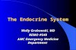 The Endocrine System Wally Grabowski, MD REMO #549 AMC Emergency Medicine Department.