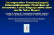Intraoperative Transesophageal Echocardiographic Predictors of Recurrent Aortic Regurgitation after Aortic Valve Repair le Polain JB, Pouleur AC, Vancraeynest.