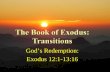 God’s Redemption: Exodus 12:1-13:16. “in the grace and knowledge of our Lord and Savior Jesus Christ” Announcements Text.