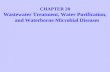 CHAPTER 28 Wastewater Treatment, Water Purification, and Waterborne Microbial Diseases.