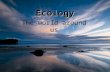 Ecology The world around us Ecology the study of the relationships among living things and their interaction with the environmentthe study of the relationships.