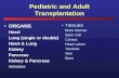 Pediatric and Adult Transplantation ORGANS Heart Lung (single or double) Heart & Lung Kidney Pancreas Kidney & Pancreas Intestine TISSUES Bone Marrow Stem.