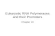 Eukaryotic RNA Polymerases and their Promoters Chapter 10.