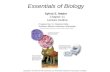 Essentials of Biology Sylvia S. Mader Chapter 11 Lecture Outline Prepared by: Dr. Stephen Ebbs Southern Illinois University Carbondale Copyright © The.