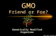 GMO Friend or Foe? Genetically Modified Organisms Image credit: Microsoft clipart.