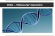 DNA – Molecular Genetics. DNA STRUCTURE – Review…… -DNA is made of monomers called nucleotides. -Nucleotides consists of -5 carbon sugar -Phosphate group.