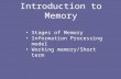 Introduction to Memory Stages of Memory Information Processing model Working memory/Short term.