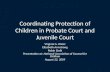 Coordinating Protection of Children in Probate Court and Juvenile Court Virginia G. Weisz Elizabeth Armstrong Robin Stolk Presentation at: National Association.