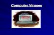 Computer Viruses. Virus Quote “ I think computer viruses should count as life. I think it says something about human nature that the only form of life.