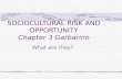 SOCIOCULTURAL RISK AND OPPORTUNITY Chapter 3 Garbarino What are they?