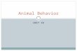 UNIT 10 Animal Behavior. Introduction Humans have always studied animal behavior  Knowledge of animal behavior = human survival  For example, understanding.